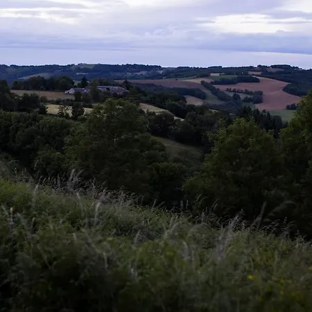 La Maison Leopoldine 別荘 *