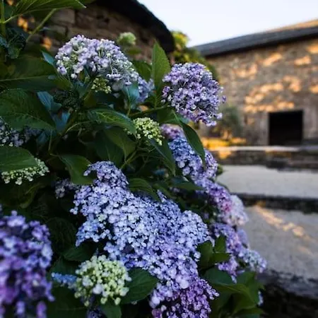 La Maison Leopoldine 別荘