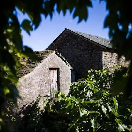 La Maison Leopoldine 別荘