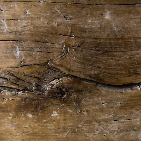 別荘 La Maison Leopoldine