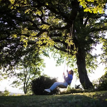 La Maison Leopoldine 別荘 *