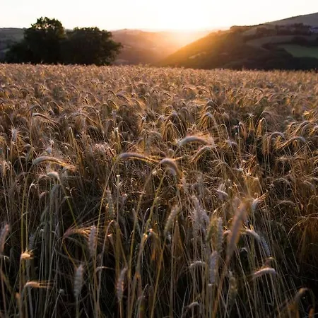 La Maison Leopoldine Martrin